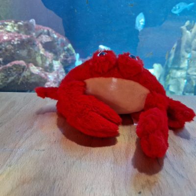 Peluche crabe rouge