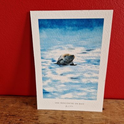 Carte postale - Une rencontre en Baie de Canche