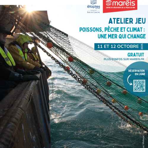 Affiche FDS 25 HD (2)
